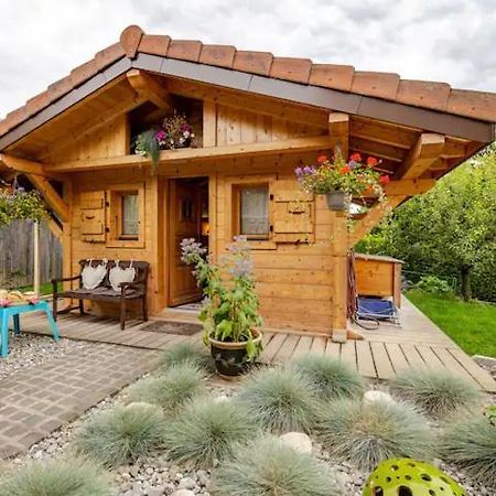 Le Chalet Des 3 Ours Neuvecelle Екстериор снимка