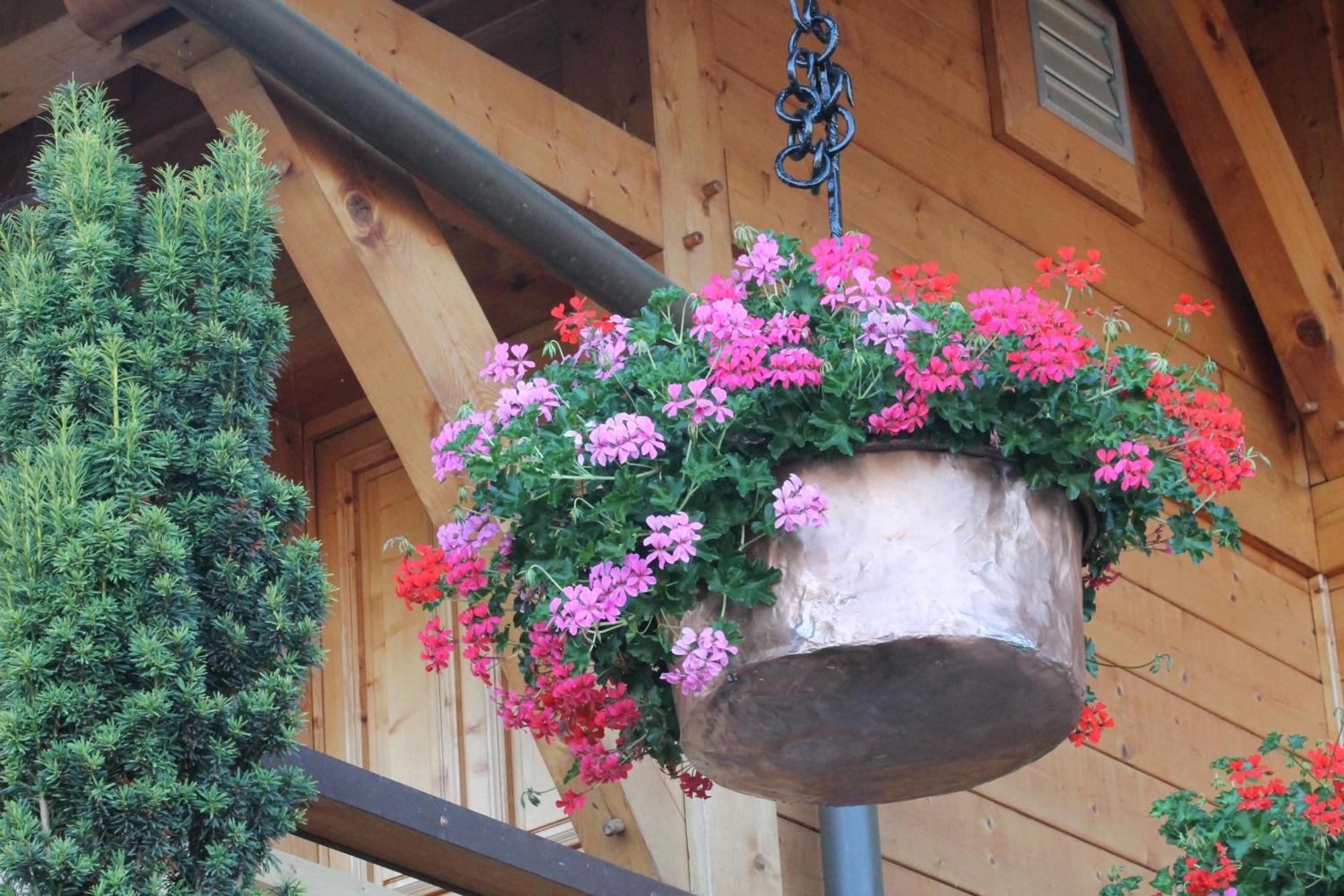 Le Chalet Des 3 Ours Neuvecelle Екстериор снимка